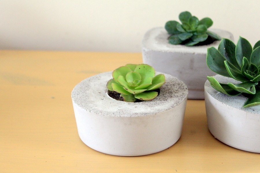 Indoor/Outdoor and Awesome Concrete Planter -Circle-