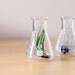 Beaker Geekery