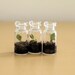 Three Itty Bitty Terrariums