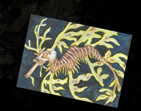 Original ACEO sea dragon illustration