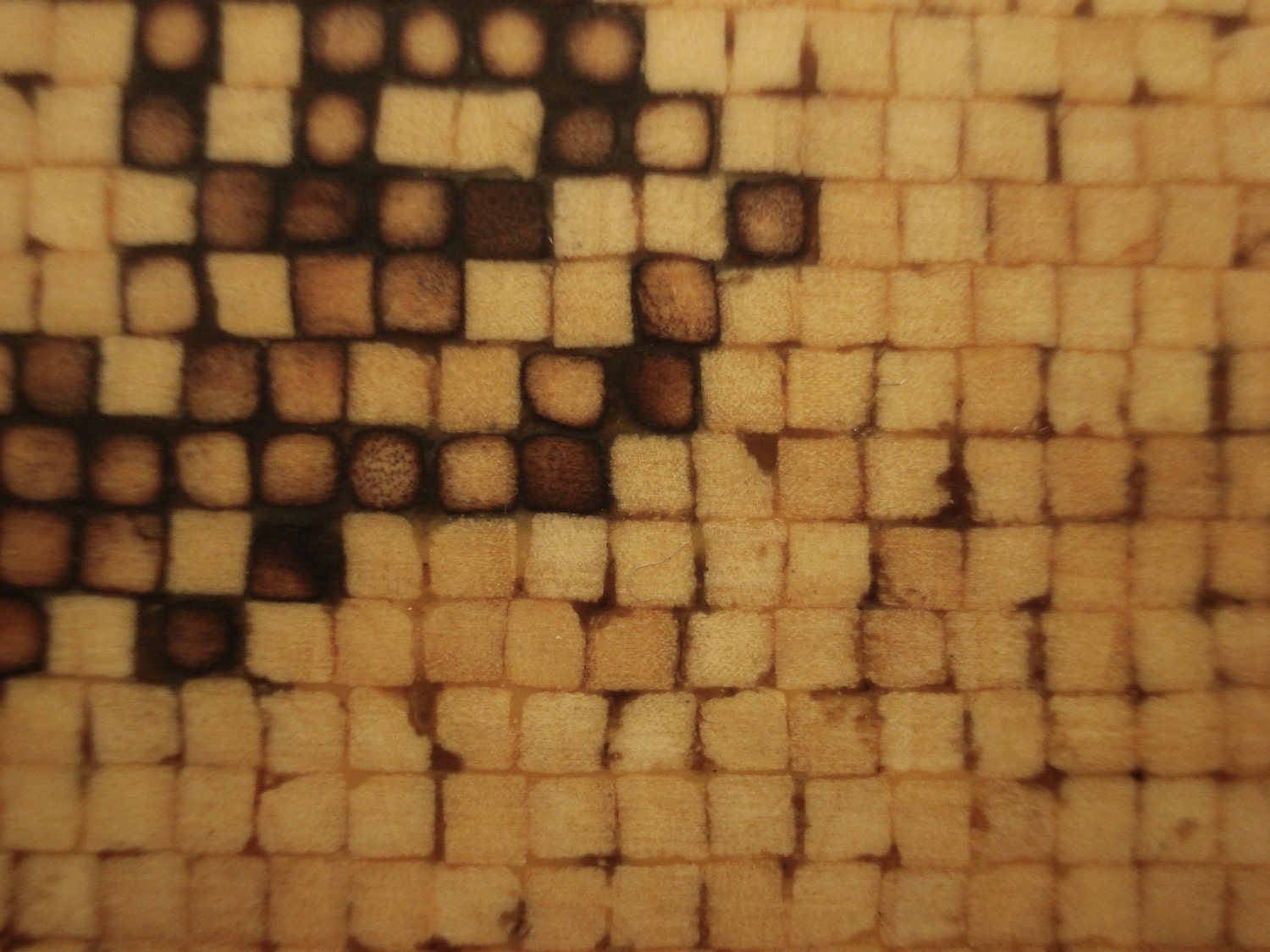 ESPY matchstick mosaic