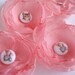 Girl's Flower Hair Clips with Peter Rabbit Buttons