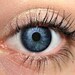 Phantasmagoria - Pure Organic Mineral Eye Color - Limited Edition
