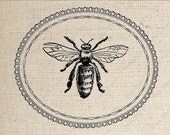 Bee Digital Download for Iron on Transfer in Oval Frame