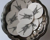 Flying Squirrel Tags Round Gift Tags Set of 10
