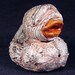 Rot Duck Silent Hill ooak