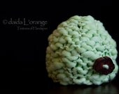 OOAK Newborn Chunky Reversible Beanie Hat with Removable Tree Branch Button - Aloe - Spring Collection