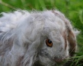 Needle Felted  Wool Animals- Holland Lop Rabbit-OOK  Soft Sculpture -needle felt by Daria Lvovsky