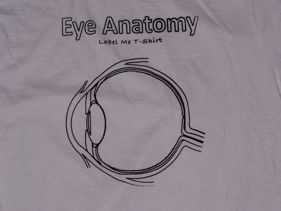 Label An Eye