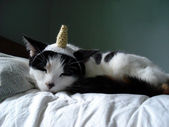 pet hat - unicorn