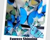 US Express Shipping  1 - 2 Business Days