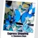 US Express Shipping  1 - 2 Business Days