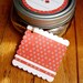 Canning or Favor Tags - Vintage Posie Design Set of 12