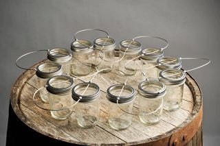 Mason Jar Light Strand 20 feet long