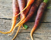 carrots print
