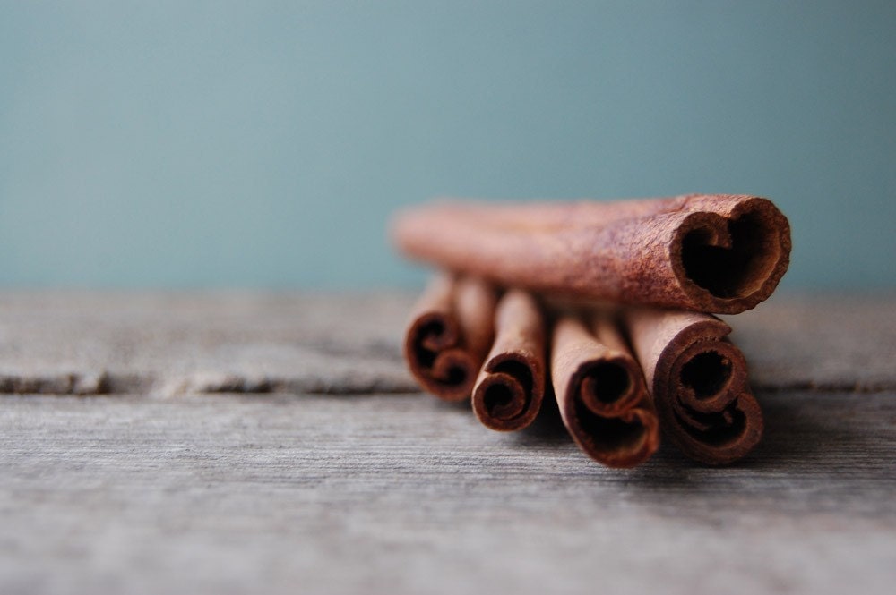 cinnamon sticks print