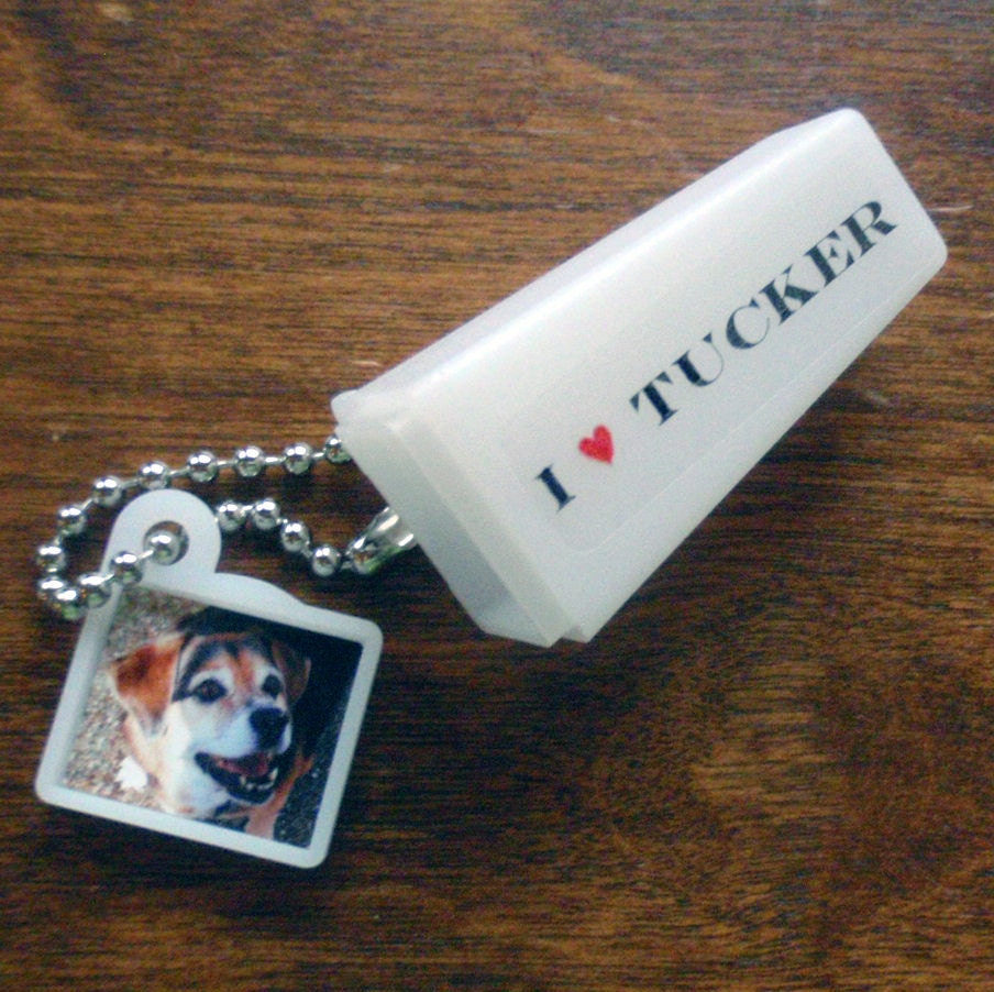 Pet Keepsake. Personalized Photo & Words. Keychain Viewfinder