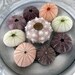 Shell Decor Sea Urchin Collection