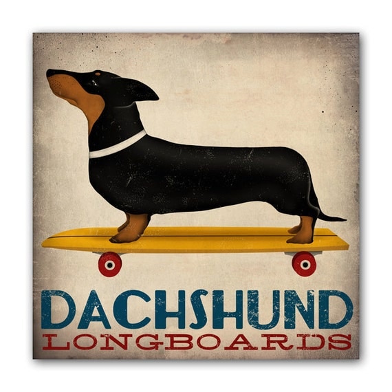 NEW ILLUSTRATION : DACHSHUND Wiener Dog Longboards Skateboard - Gallery Wrapped Canvas Wall Art 12x12x1.5 inch Signed