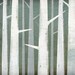 BIRCHES Stretched Canvas Wall Art 20x30x1.5 - Gallery Wrapped - Ready-to-Hang