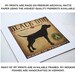 Black Bear Swim illustration 7x9 Giclee PRINT Signed