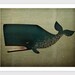 The Barnacle Whale Archival Pigment Print Giclee 7x9 inches SIGNED