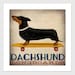 NEW ILLUSTRATION : DACHSHUND Wiener Dog Longboards Skateboard - Gallery Wrapped Canvas Wall Art 12x12x1.5 inch Signed
