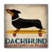 NEW ILLUSTRATION : DACHSHUND Wiener Dog Longboards Skateboard - Gallery Wrapped Canvas Wall Art 12x12x1.5 inch Signed