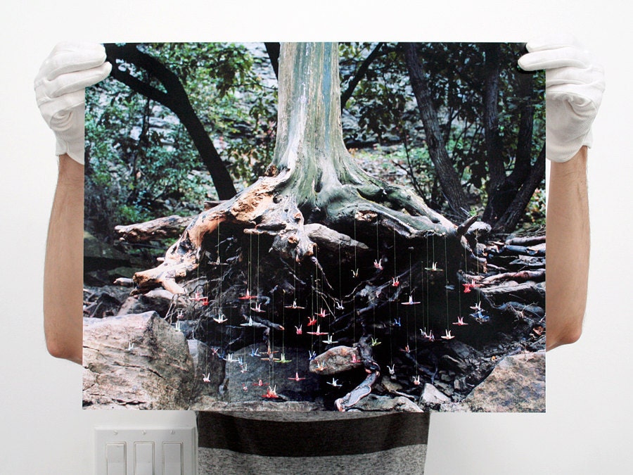 Paper Cranes - 16x20 Fine Art Photographic Print