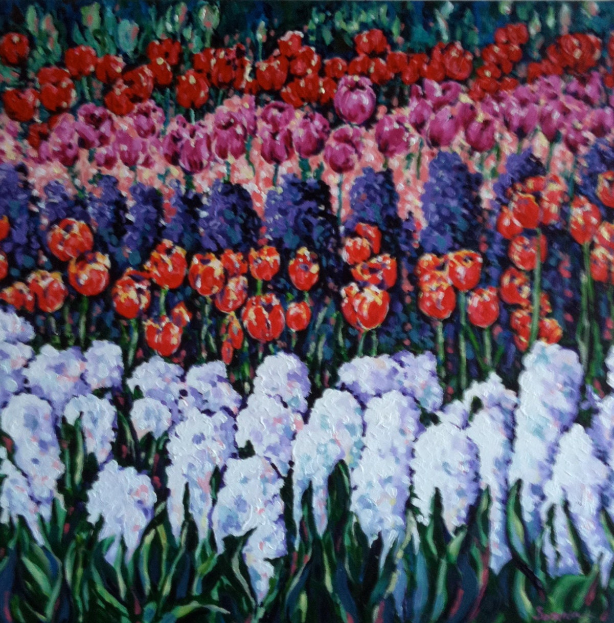 Tulip Fields, Keukenhof Gardens, 18 x 18 inch acrylic floral, original painting, gallery wrapped canvas