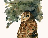 The Grumpy Owl Print of  watercolor painting, Birds, Natural history, Halloween, autumn, Brown, Green limited edtion, woodland
