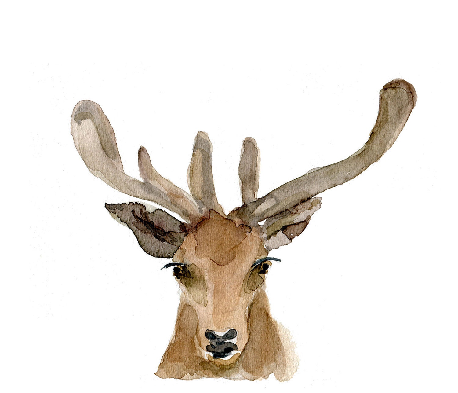 Deer Art Print of  original Watercolor painting , woodland, for men ,unisex, antler, fathers day, chirstmas wall decor, cottage chic
