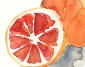 Blood Orange study, art Print of my original watercolor painting ,still life,  kitchen decor, kitchen art ,citrus ,