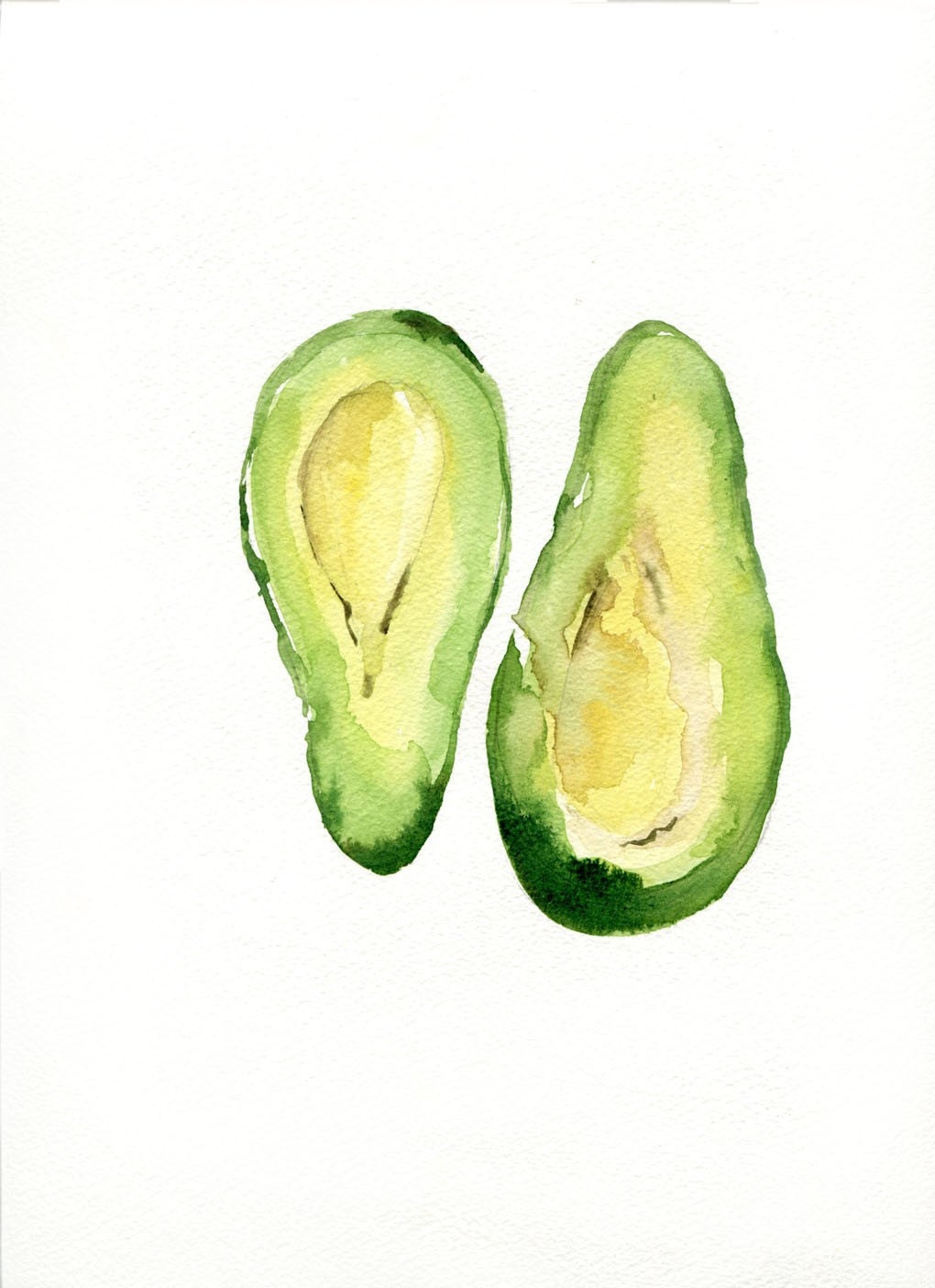 Avocado Art Print of my original watercolor painting Botanical limited edition Peridot green Avocado green, kitchen decor