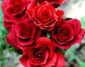 6 paper roses in your choice of color - paper flowers for gifts, weddings, or decor