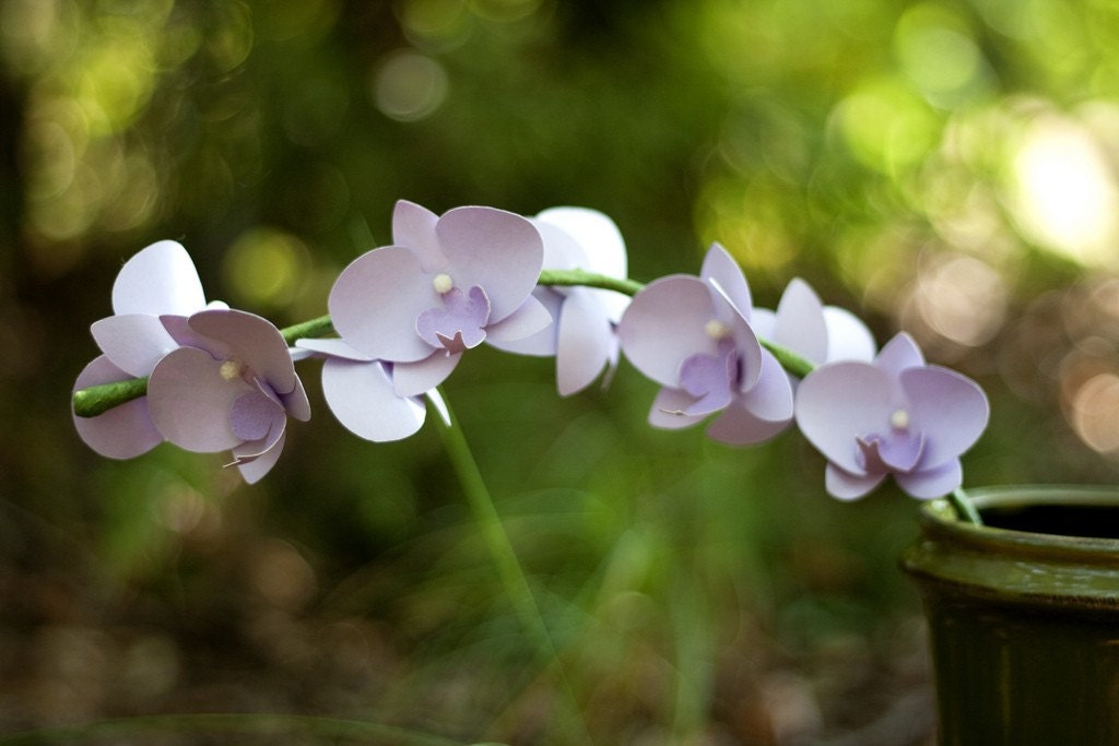 phalaenopsis (moth) orchid spray - small, cardstock - handmade paper flowers for gift, wedding, or home decor