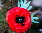oriental poppy -  paper flower for wedding, gift, or home decor