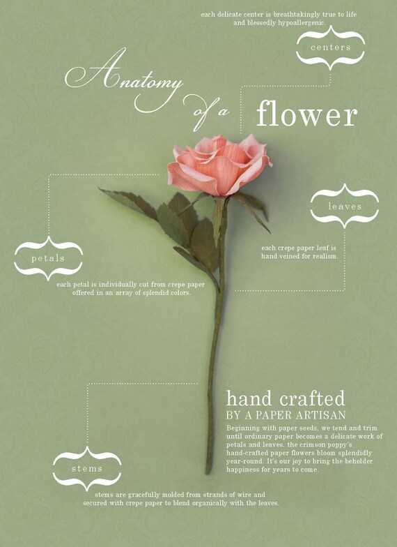 ivy vines -  paper flowers for gift, wedding, or decor