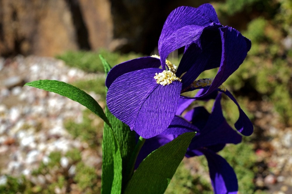 iris - paper flowers  for weddings, gift, or decor