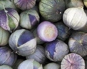 Organic Purple Tomatillo seeds