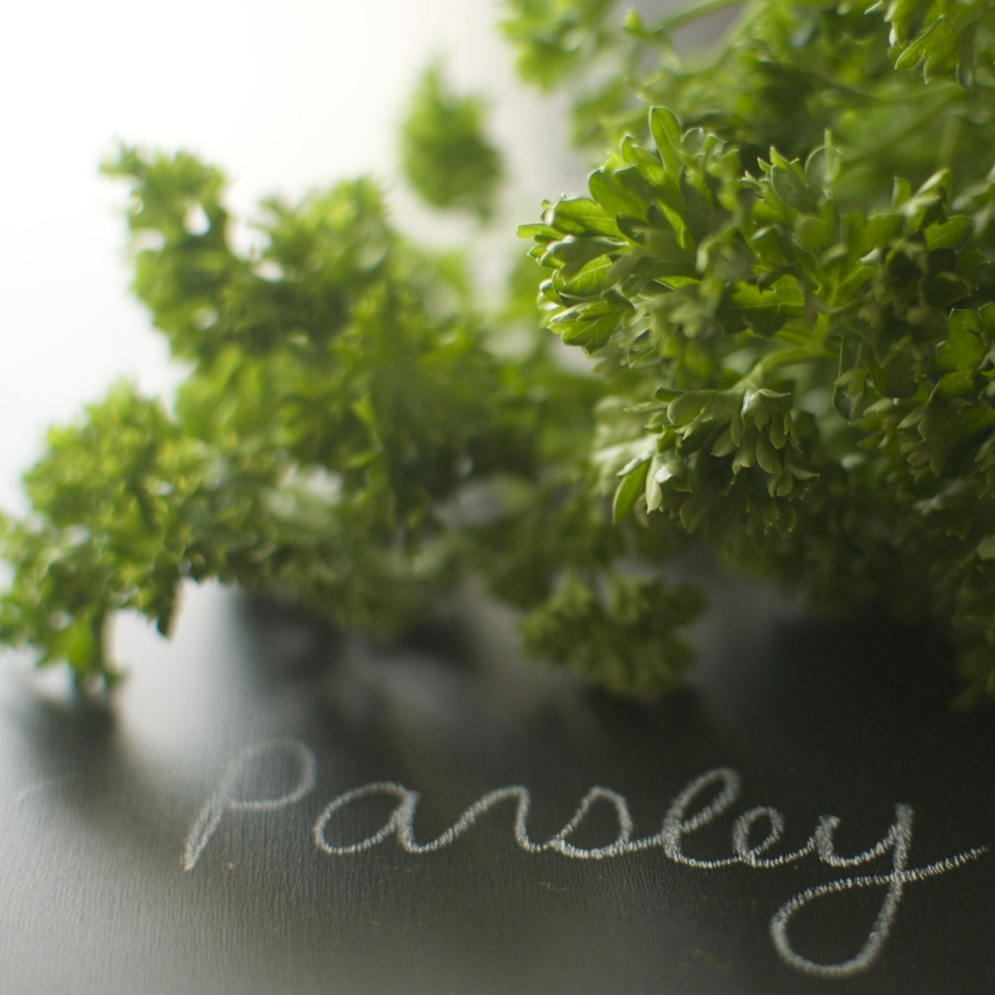 Organic Moss Curled Parsley Seeds