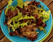 Cubits Baby Leaf Lettuce Mixed Greens Organic Salad Mix Seeds