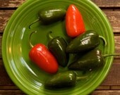 Organic Jalapeno Pepper Seeds - Early Jalapeno Peppers