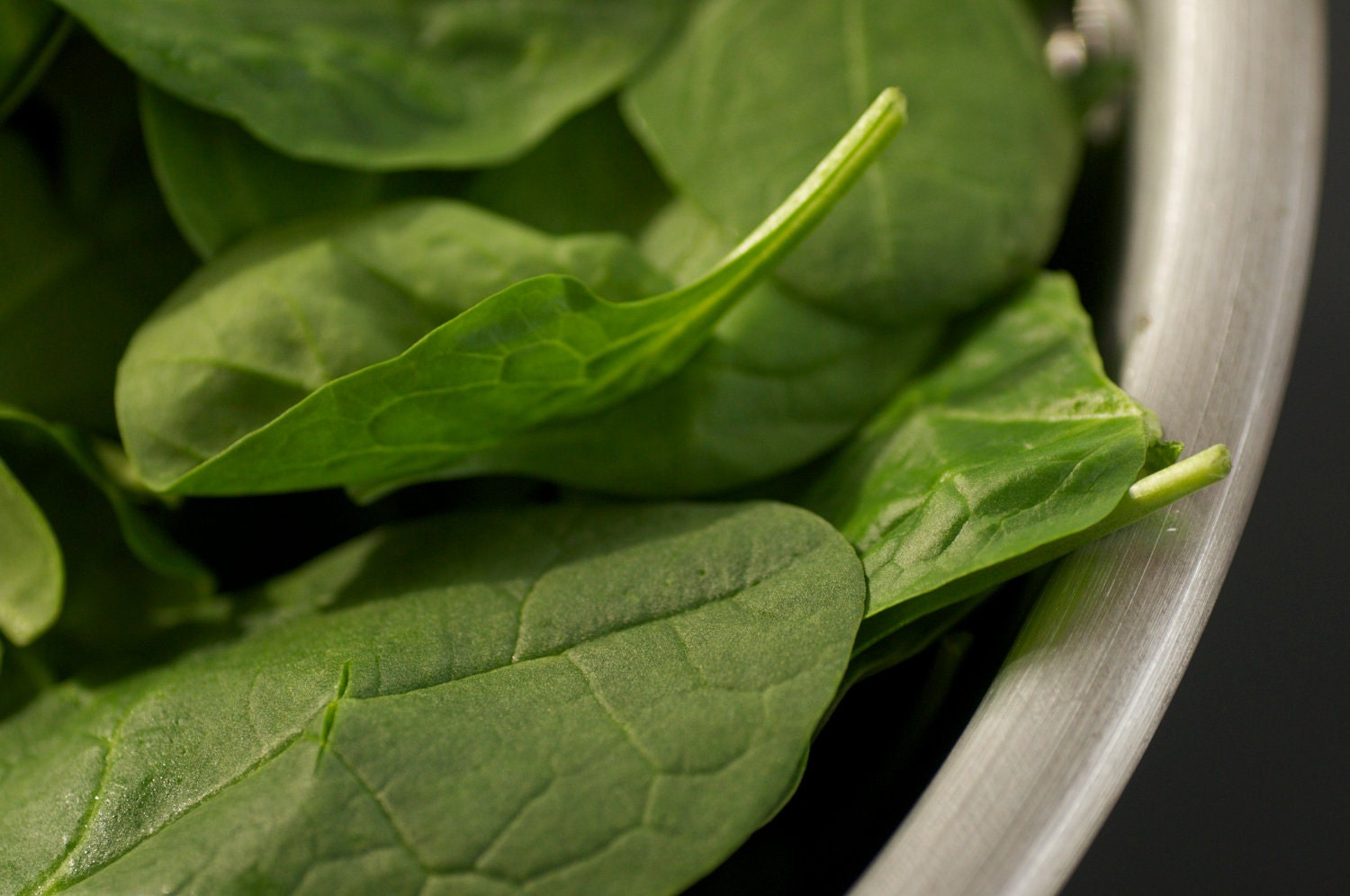 Organic Bloomsdale Spinach Seeds