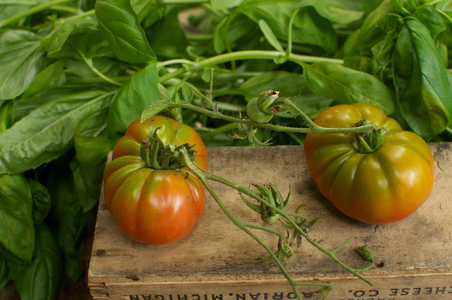 Organic Gardening Seeds Three Pack - Free Shipping - Gift for Gardener