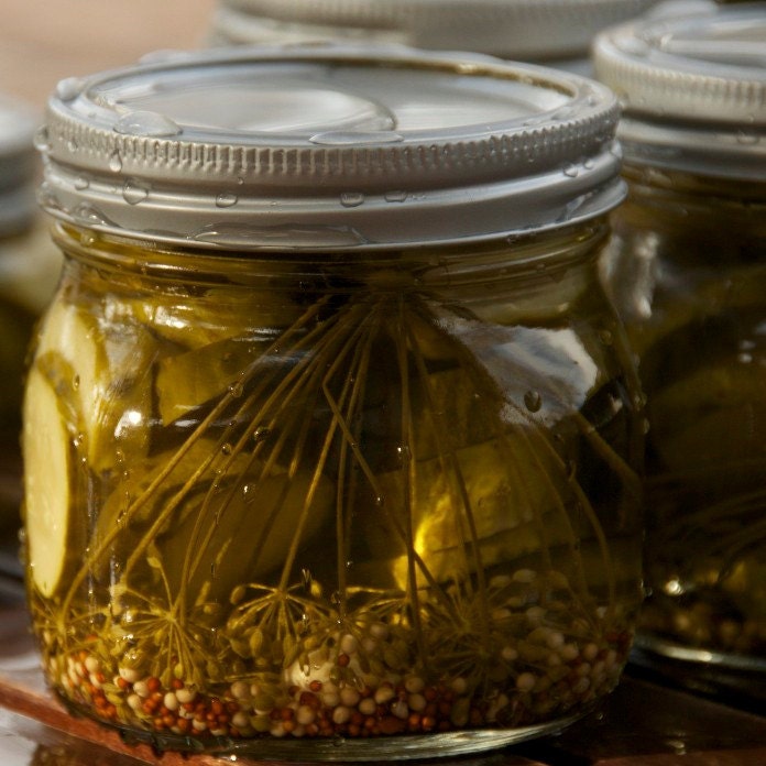 Organic Bouquet Dill Seeds - Perfect for Dill Pickles