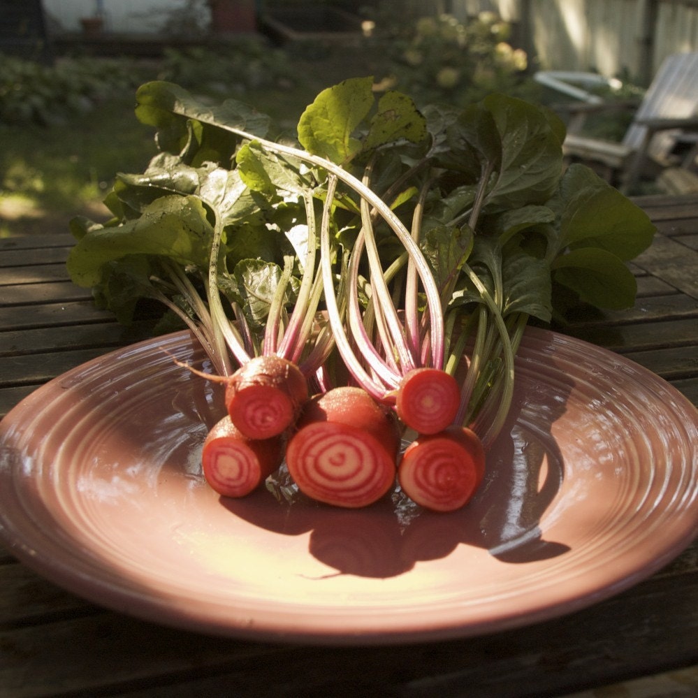 Chioggia Beets - Organic Striped Chioggia Beet Seeds