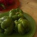 Organic Red and Green Bell Peppers - California Wonder Sweet Pepper Seeds
