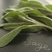 Sage Seeds for your Organic Herb Garden
