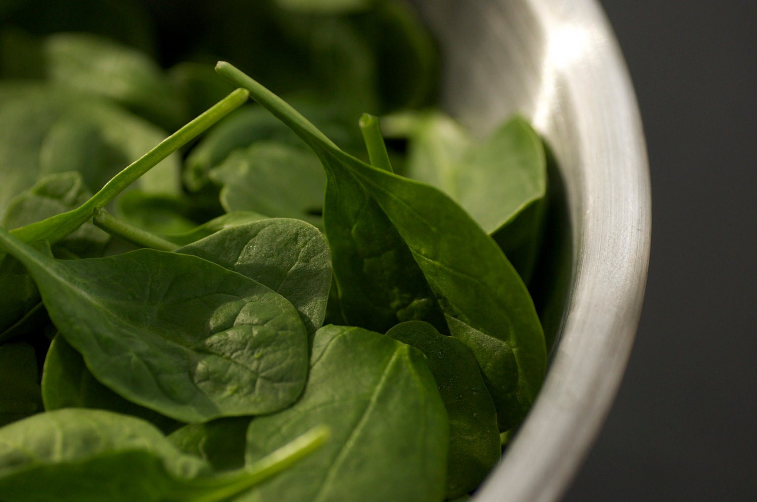 Organic Bloomsdale Spinach Seeds